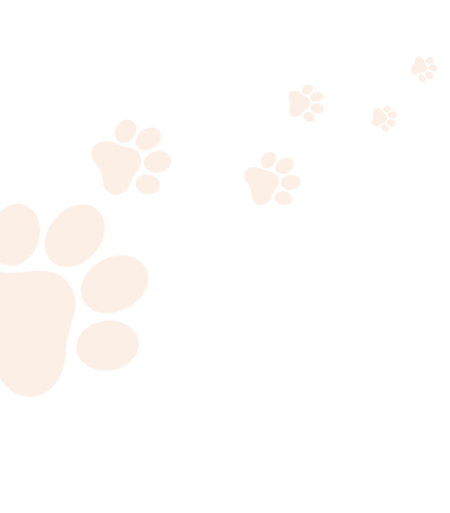 Paw Prints